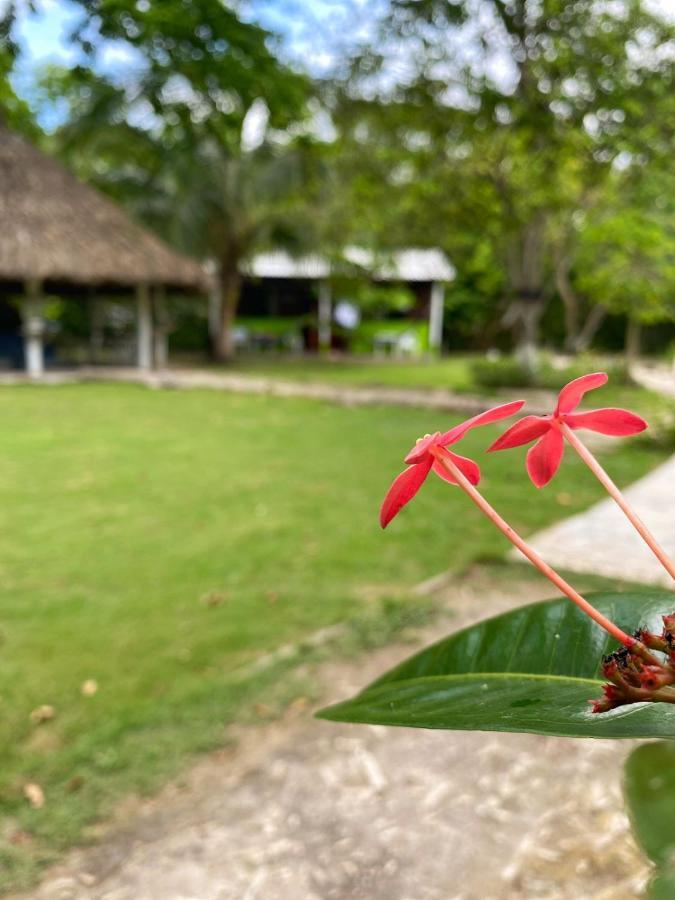 Eco Hotel Bosque Encantado 이슬라 그란데 외부 사진
